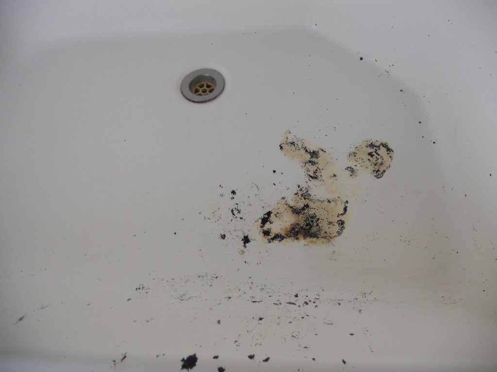 Moldy Sink before